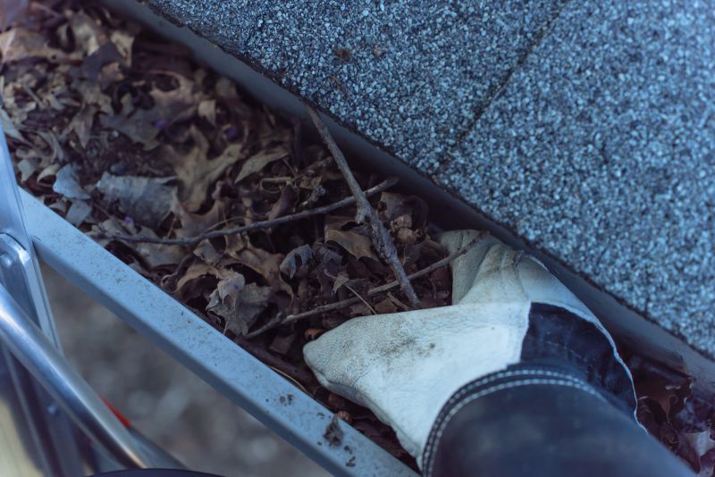 Gutter System Cleaning