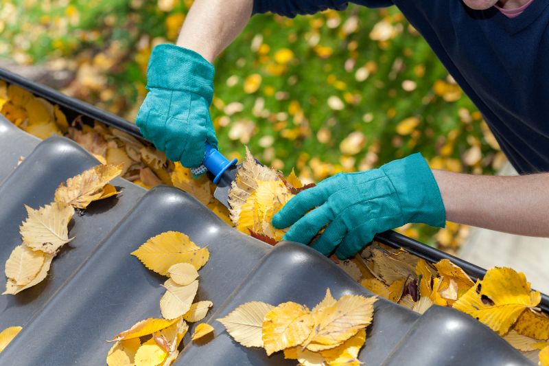 Commercial Gutter Cleaning in Mcdonough, GA