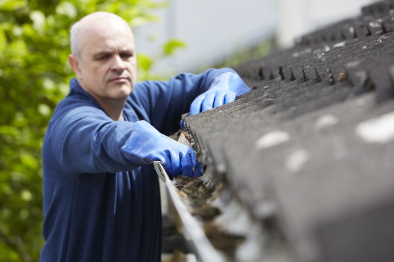 Gutter System Cleaning