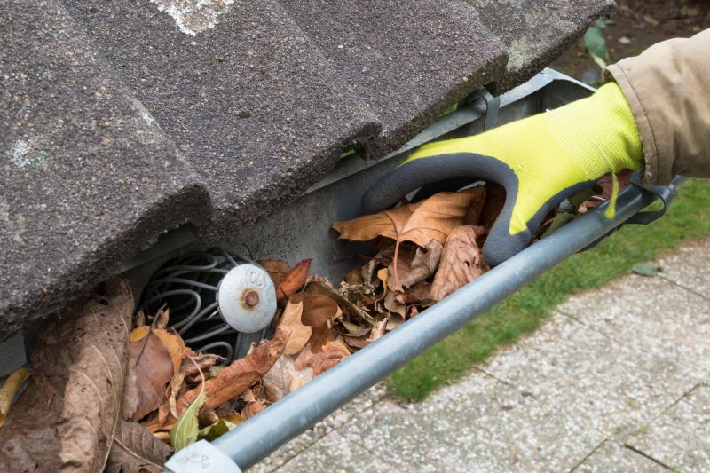 Gutter System Cleaning