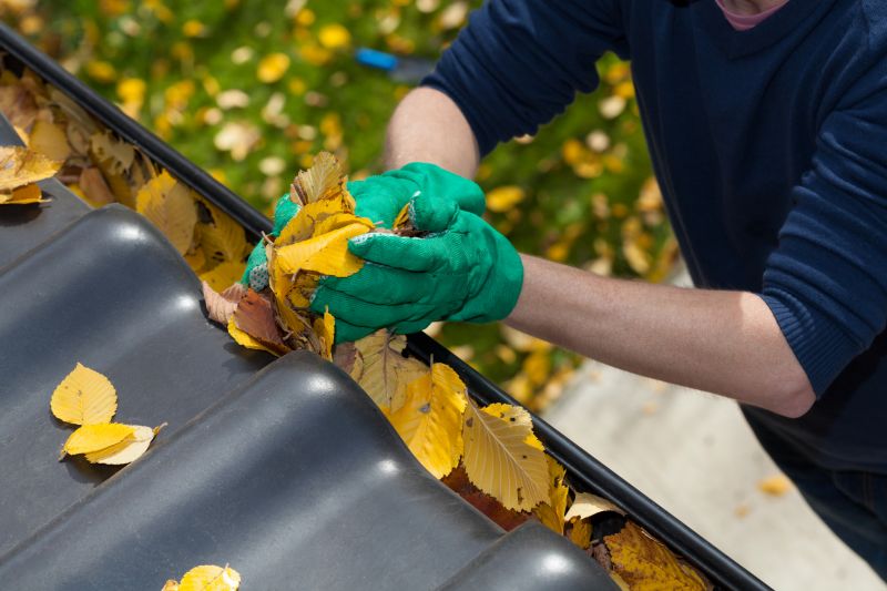 Gutter System Cleaning