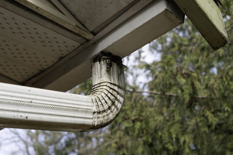 Downspout Inspection