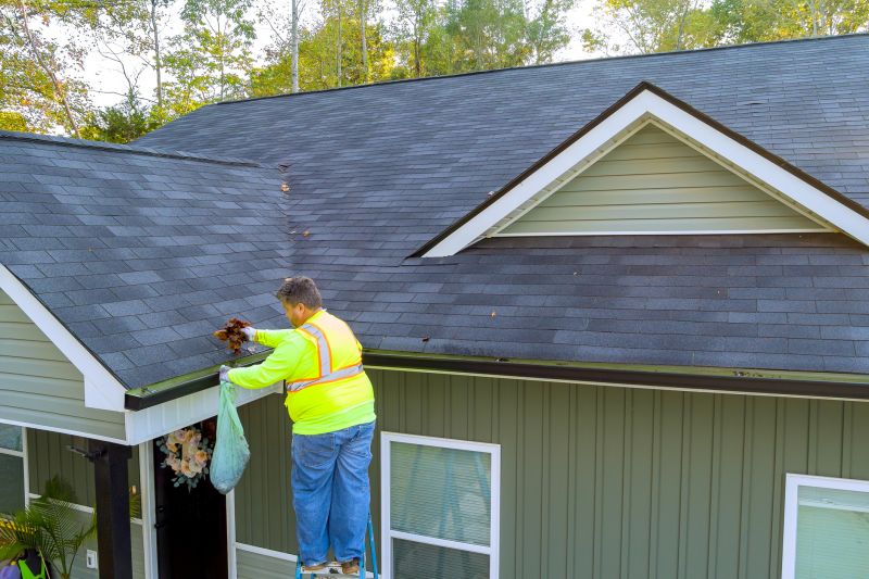 Gutter System Cleaning
