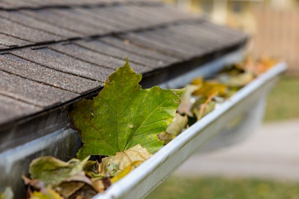 Grow your Gutter System Cleaning business